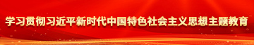 大鸡巴快点操我学习贯彻习近平新时代中国特色社会主义思想主题教育