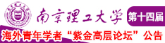 肏穴网站南京理工大学第十四届海外青年学者紫金论坛诚邀海内外英才！